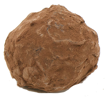 French Truffle